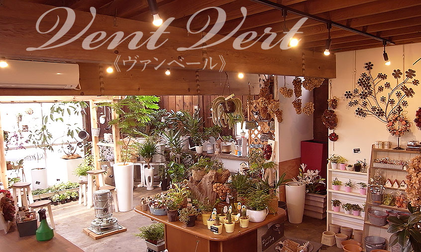 東京・神奈川の観葉植物レンタル・花壇・生花販売 Vent Vert 〜ヴァン・ベール〜