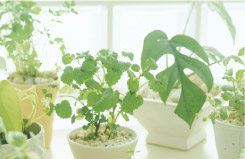 リラックス空間